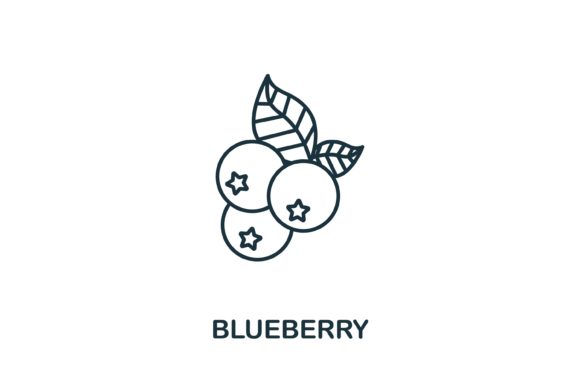 Enhance Your Visual Design with the Blueberry Icon from Fruits Collection