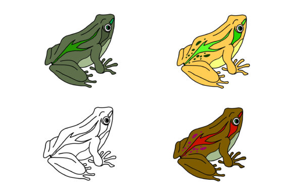 Unlocking Creativity: Practical Uses for the FROG Collection Image Set